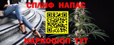 СК Бузулук