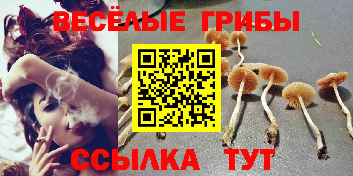 Псилоцибиновые грибы ЛСД Ликино-Дулёво